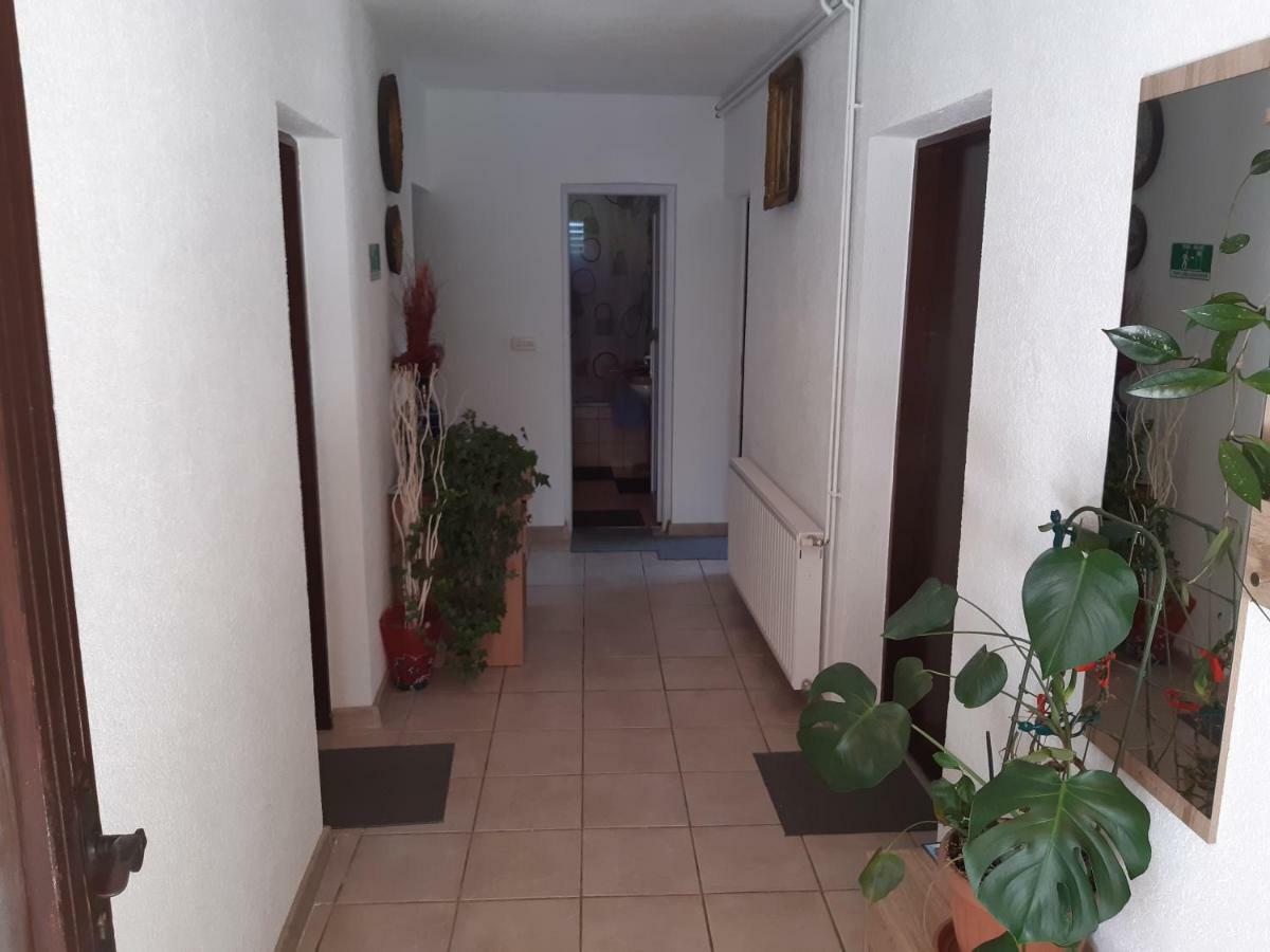 Rooms Luka Seliste Dreznicko Exteriör bild