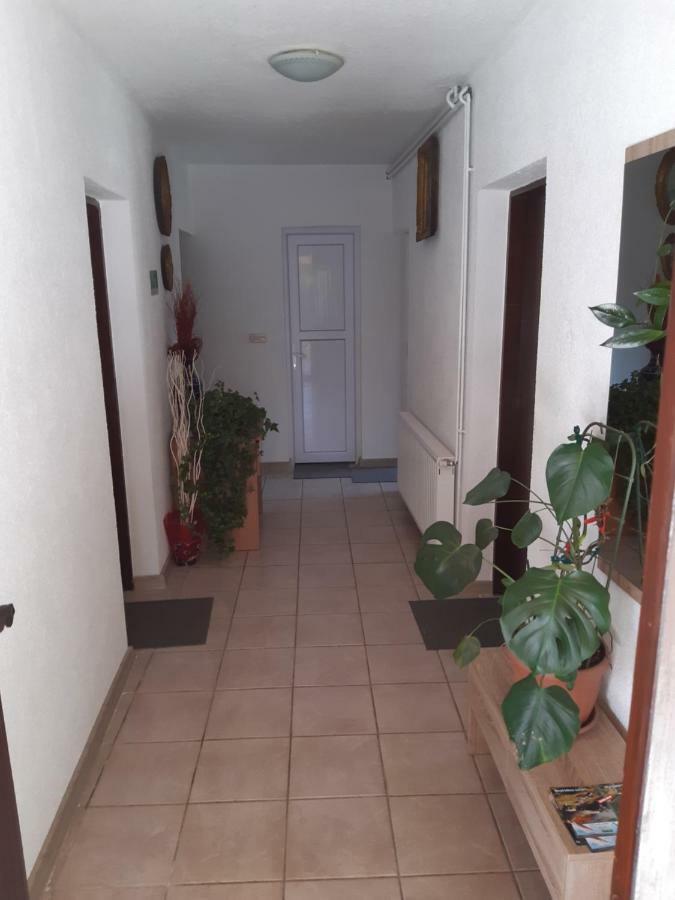 Rooms Luka Seliste Dreznicko Exteriör bild